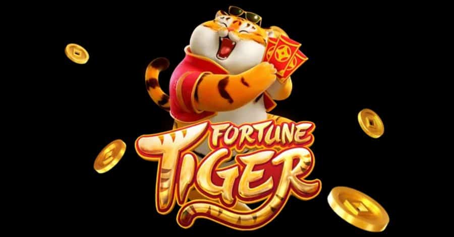 jogo 7